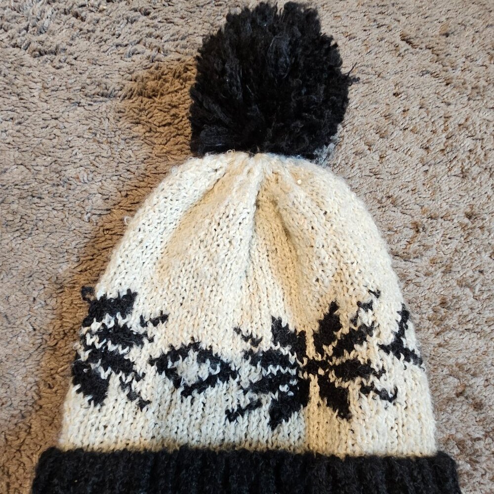 Free People Knit Pom Beanie